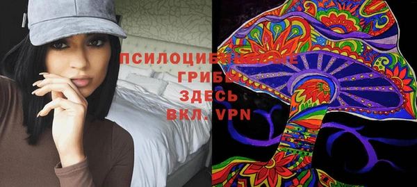 меф Арсеньев