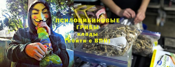 меф Арсеньев