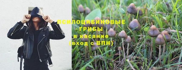 стаф Армянск