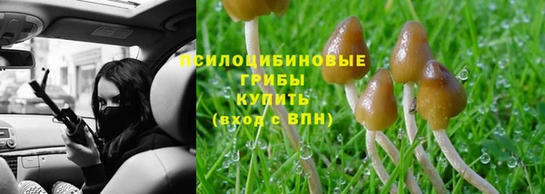 стаф Армянск